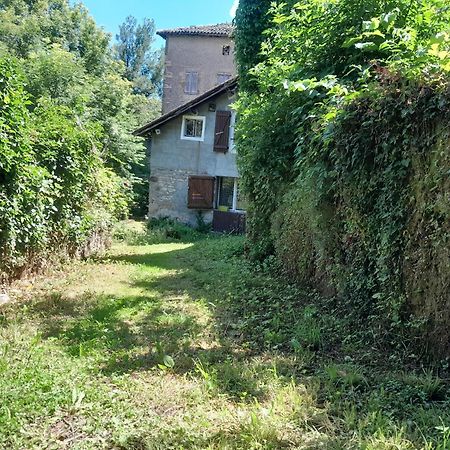 Le Refuge Du Cele Studio Paisible Jardin Et Riviere Figeac Eksteriør billede